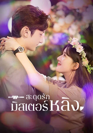 สะดุดรักมิสเตอร์หลิง