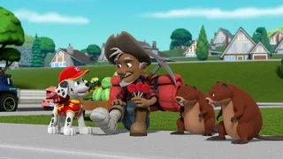 EP.901 | PAW Patrol Season 9
