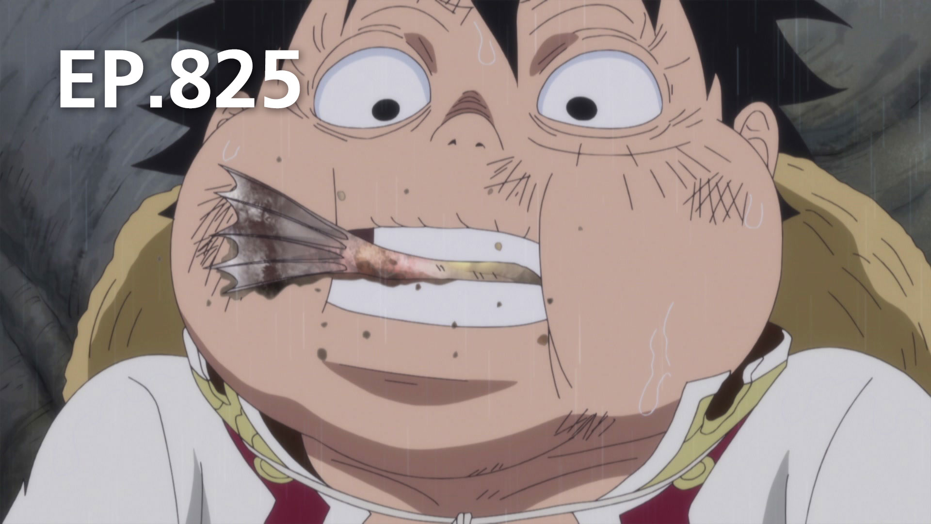 ep-825-19