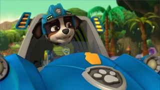 EP.915 | PAW Patrol Season 9