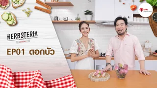 Ep.1| Herbsteria SS6 ตอน ดอกบัว