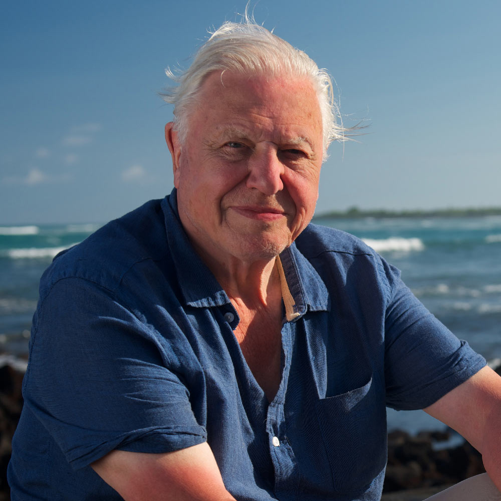 Attenborough's Global Adventure