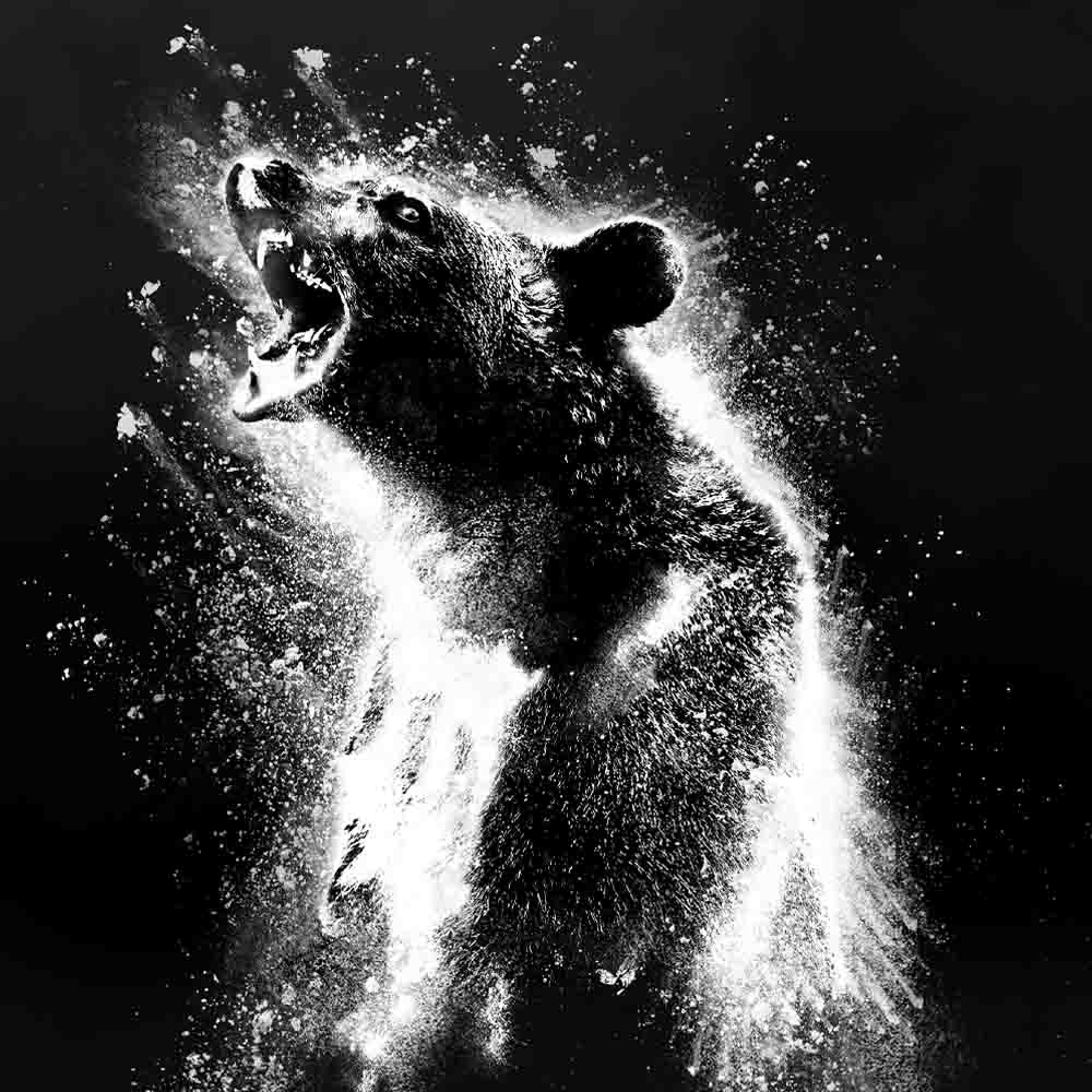 Trailer: Cocaine Bear