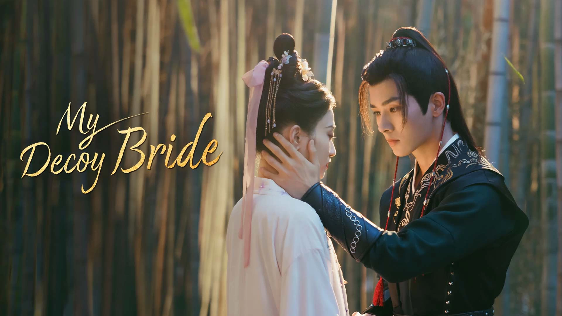 My Decoy Bride Watch Series Online