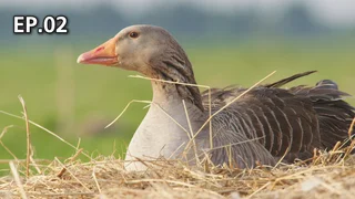 EP.02 | สู่ฟาร์มสามเกลอ