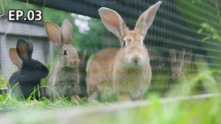 EP.03 | สู่ฟาร์มสามเกลอ