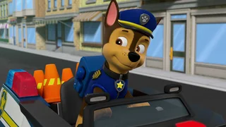 EP.802 | PAW Patrol Season 8