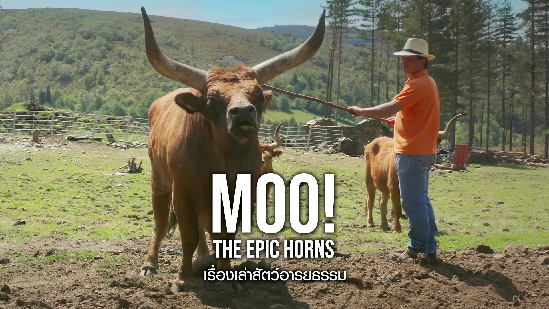 Moo! the Epic Horns Watch Series Online