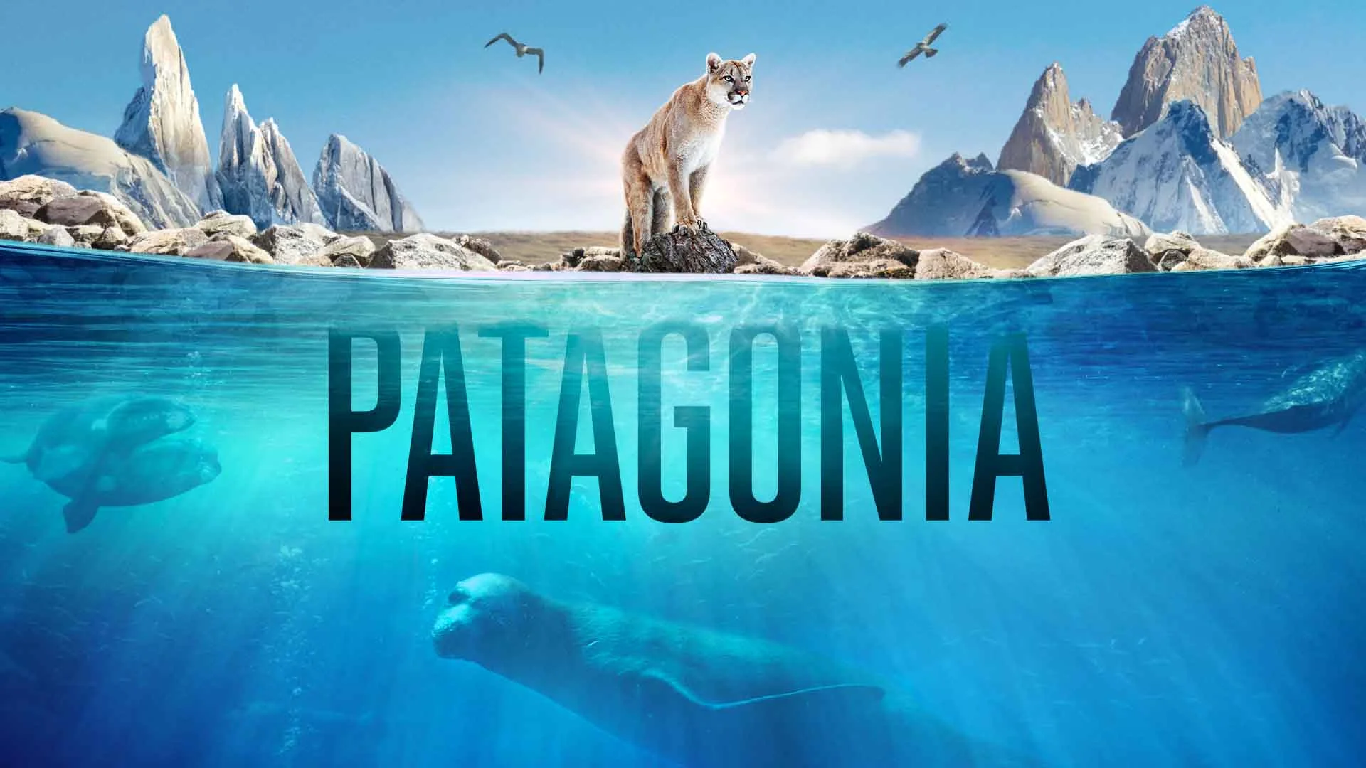 Patagonia