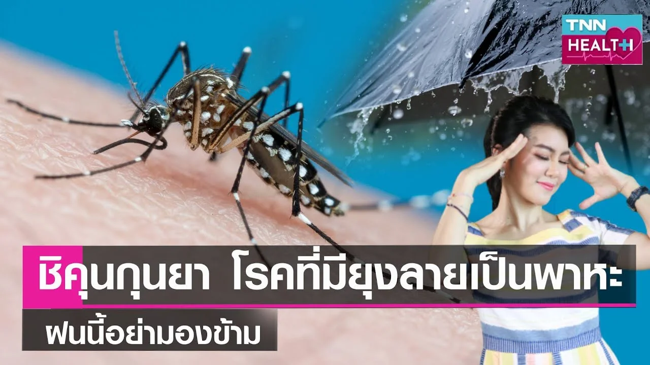 Understanding Chikungunya: Symptoms, Mosquitoes, and the Connection to Dengue Fever