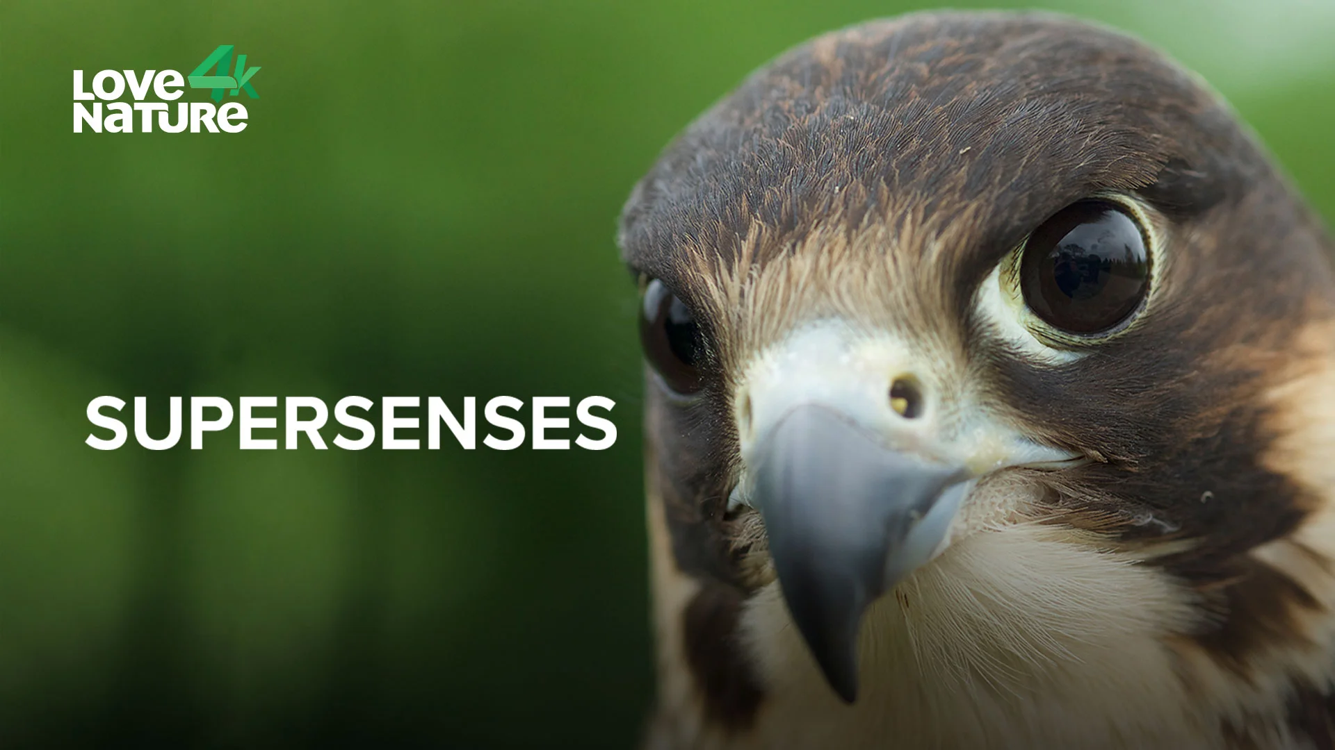 super-senses-watch-series-online