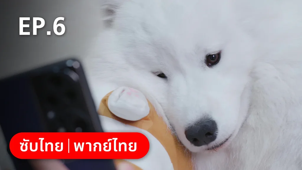 EP.06 | หวานใจเจ้านายขนฟู