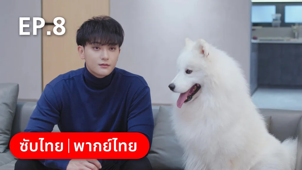 EP.08 | หวานใจเจ้านายขนฟู