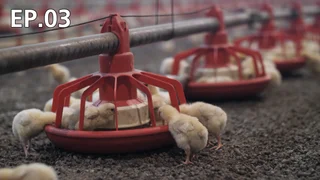 EP.03 | Lifestyle Tips