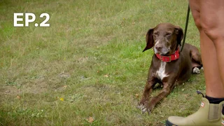 EP.02 | 12 Puppies and Us