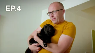 EP.04 | 12 Puppies and Us