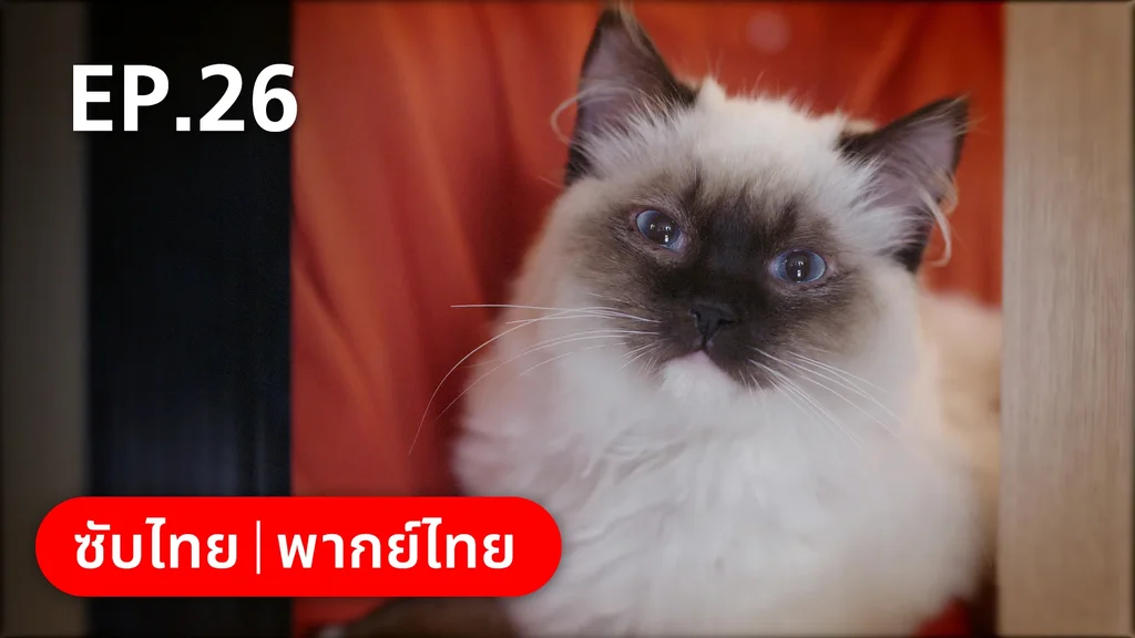 EP.26 | หวานใจเจ้านายขนฟู