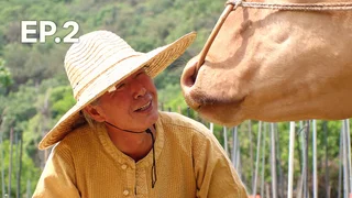 EP.02 | ทีวีของคนรักสัตว์ ปี3