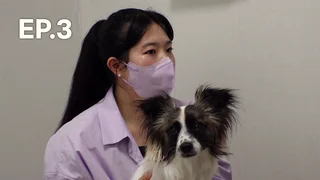EP.03 | ทีวีของคนรักสัตว์ ปี3