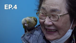 EP.04 | ทีวีของคนรักสัตว์ ปี3