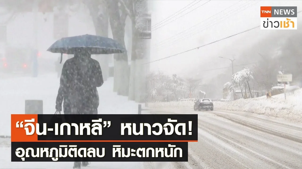 “จีน-เกาหลี” หนาวจัด! อุณหภูมิติดลบ หิมะตกหนัก L TNN News ข่าวเช้า L 23 ...