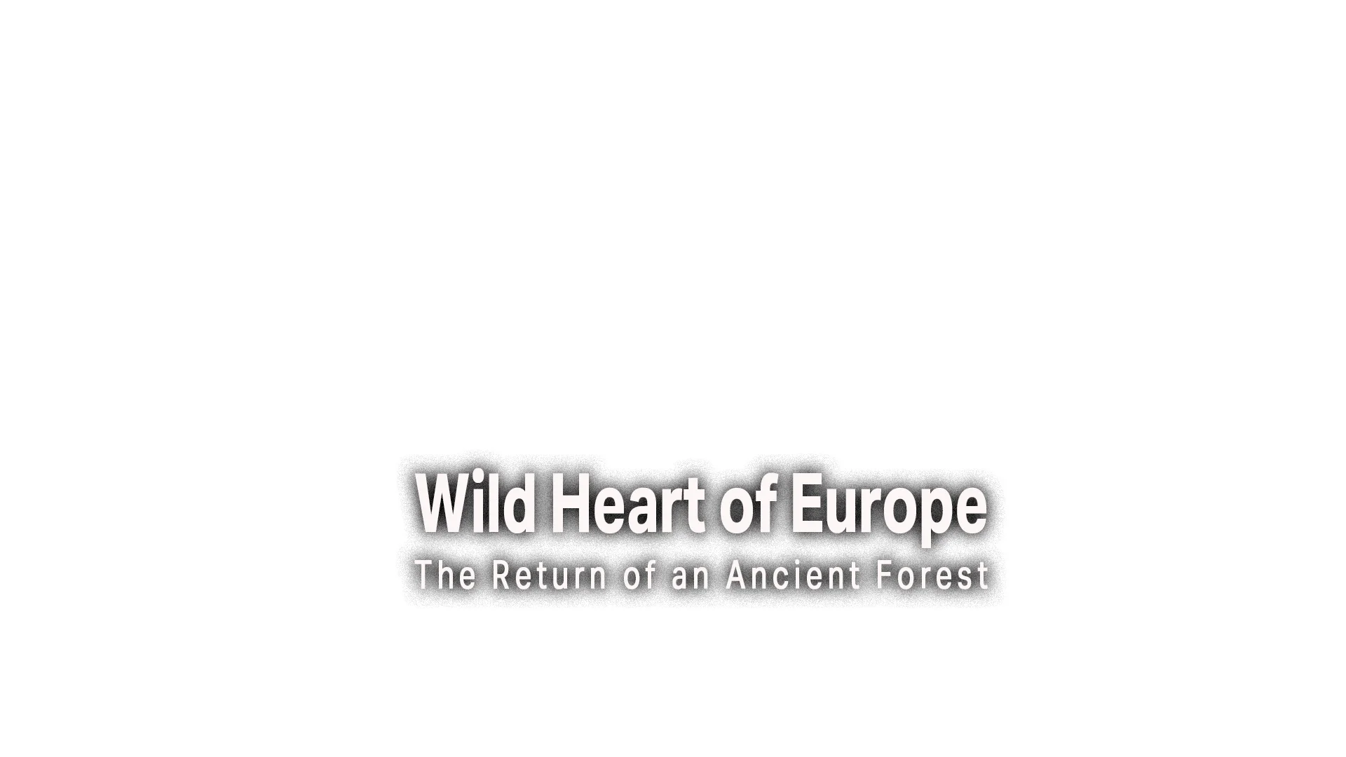 Wild Heart of Europe - The Return Of An Ancient Forest