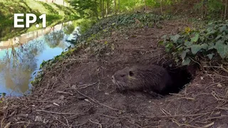 EP.01 | เพื่อนร่วมโลกเจ้าปัญหา