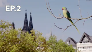 EP.02 | เพื่อนร่วมโลกเจ้าปัญหา