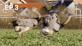 EP.03 | เพื่อนร่วมโลกเจ้าปัญหา