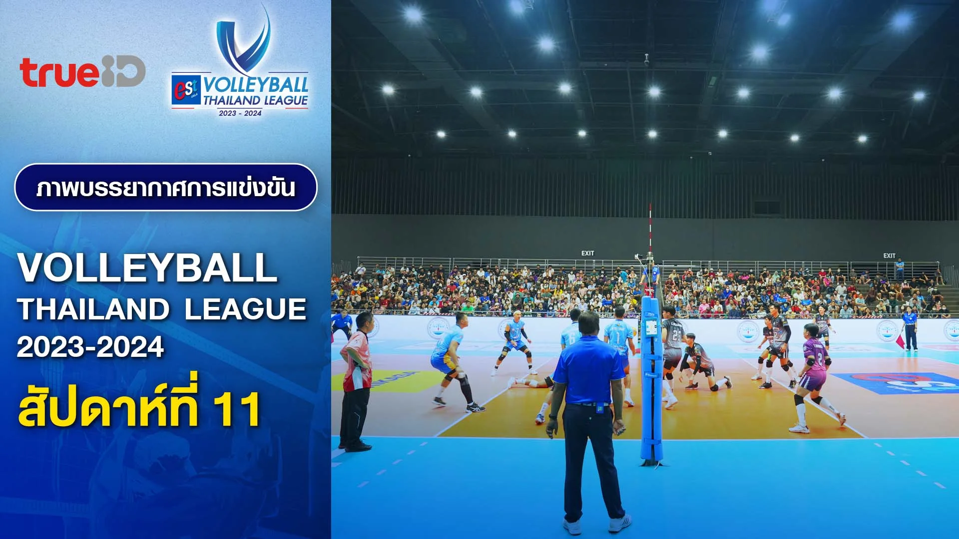 Overview of the Volleyball Thailand League 2023/24 Week 11 Watch Movies Online