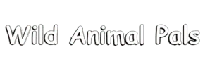 Wild Animal Pals