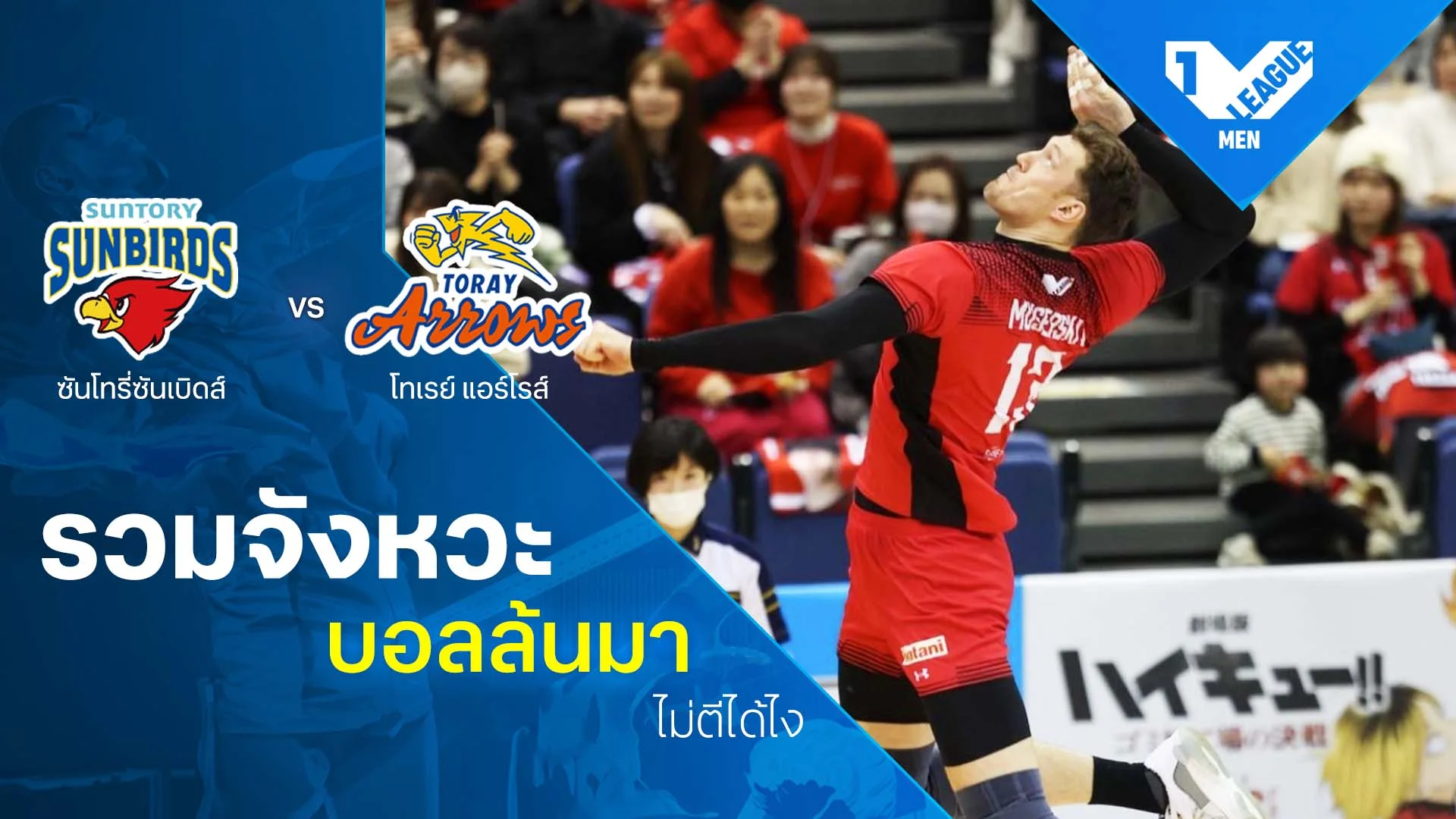 รวมจังหวะ บอลล้นมา ไม่ตีได้ไง ซันโทรี่ ซันเบิร์ดส vs โทเรย์ แอร์โรส์