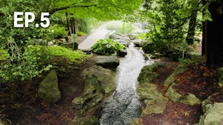 EP.05 | 'สวน' พลังแห่งการเยียวยา