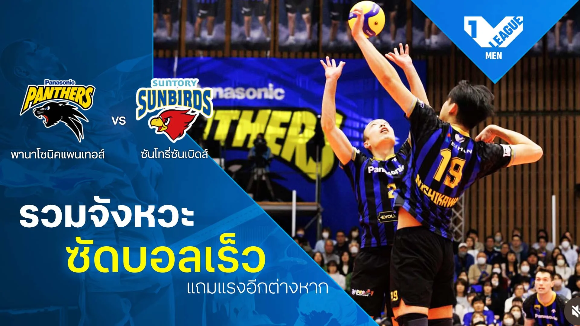รวมจังหวะ ซัดบอลเร็ว แถมแรงอีกต่างหาก พานาโซนิค แพนเธอร์ส VS ซันโทรี่ ซันเบิร์ดส