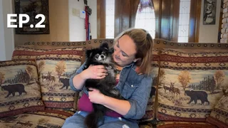 EP.02 | ภารกิจช่วยน้องหมา