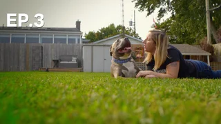 EP.03 | ภารกิจช่วยน้องหมา