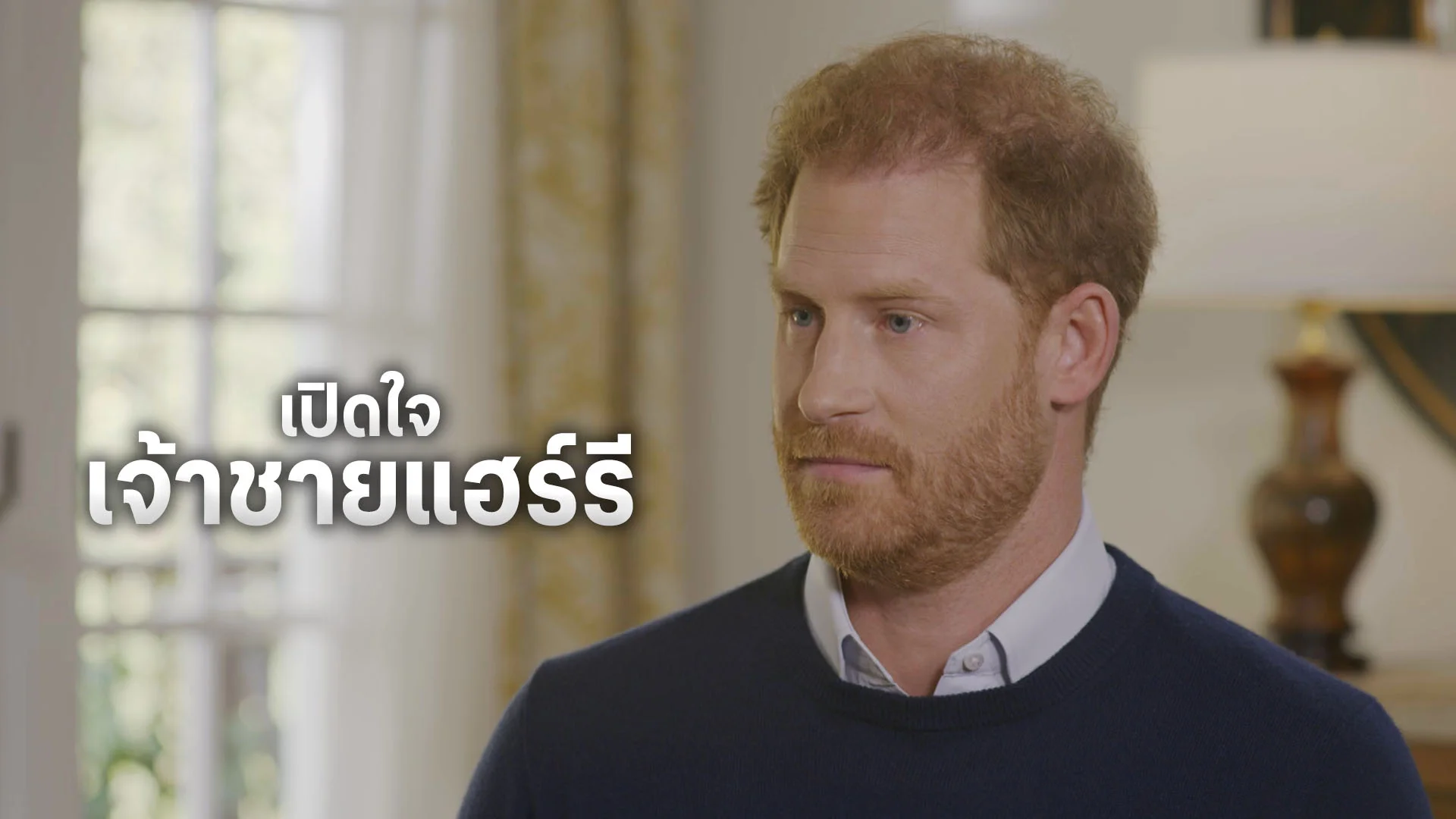 เปิดใจเจ้าชายแฮร์รี ฟยอร์ดพลาสติก - ดูซีรี่ส์ออนไลน์