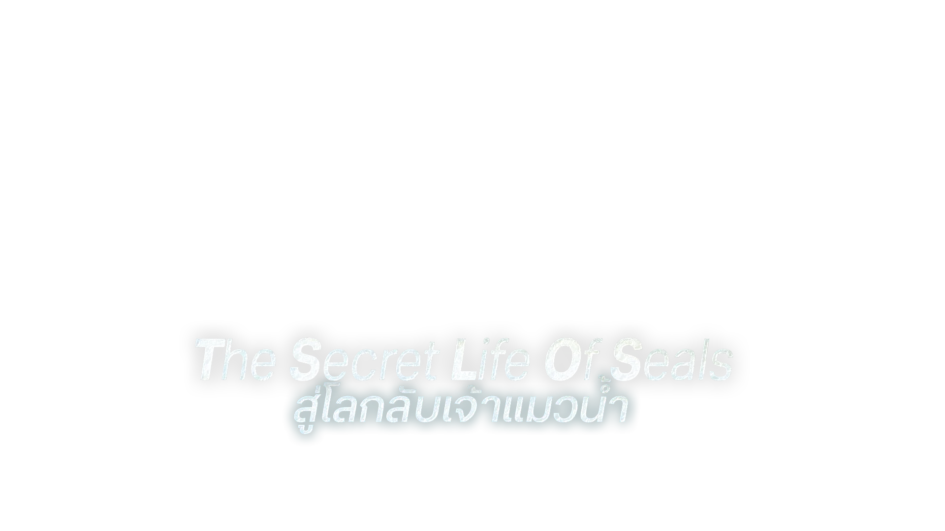 สู่โลกลับเจ้าแมวน้ำ
