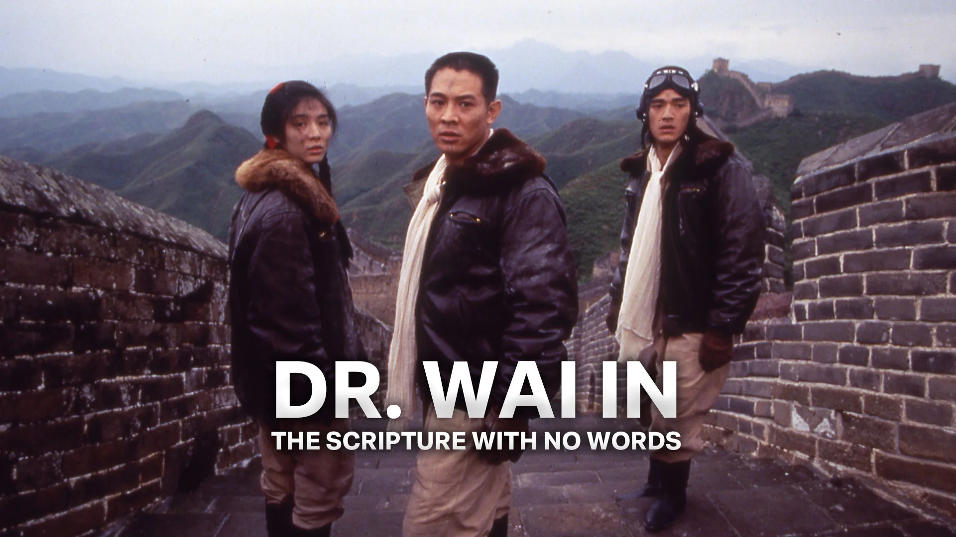 Dr. Wai in the Scripture with No Words - Watch Movies Online