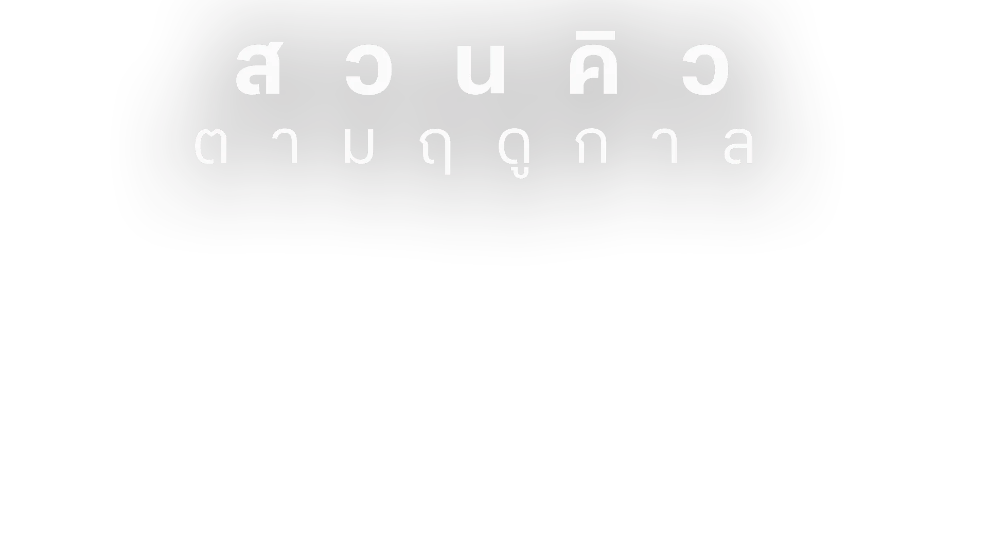 สวนคิว ตามฤดูกาล ปี 2