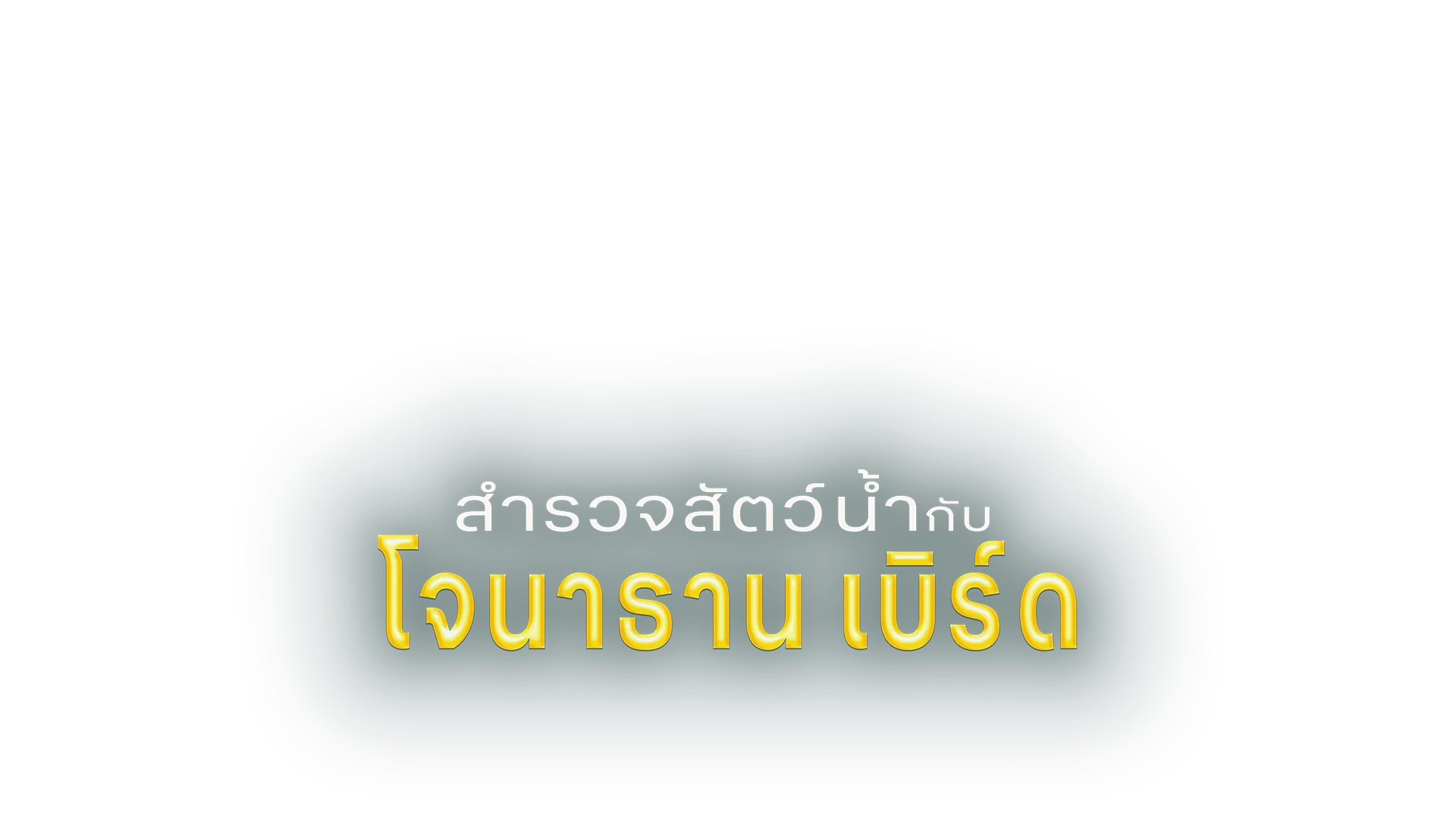 สำรวจสัตว์น้ำกับโจนาธาน เบิร์ด ปี 7