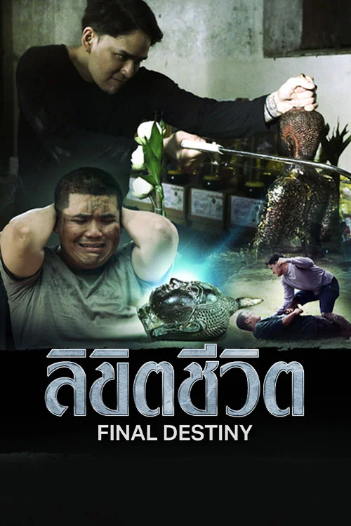 ลิขิตชีวิต