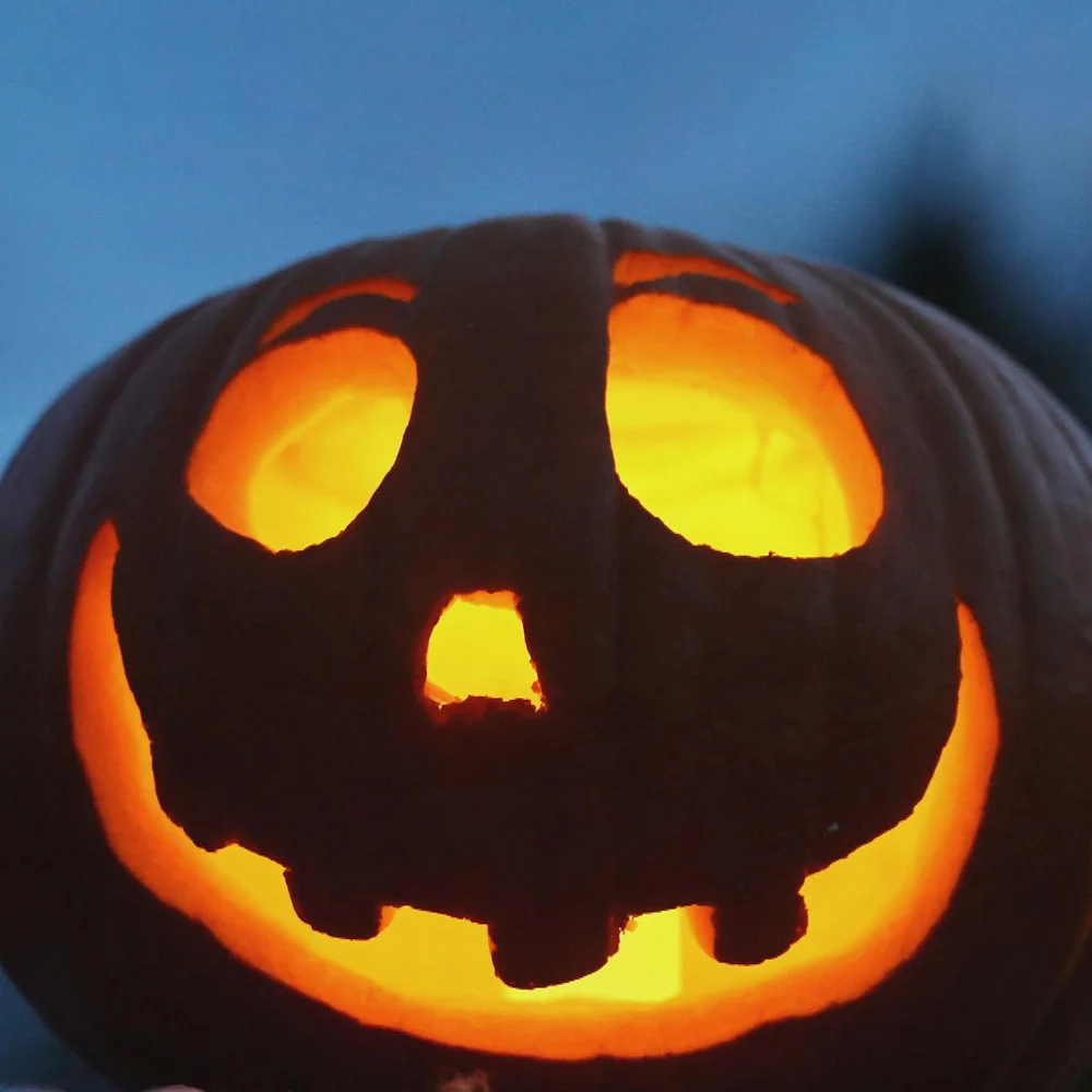 ฟักทอง สุดยอดพืช