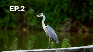 EP.02 | ซีพีโชว์  สวนสัตว์มหาสนุก พาร์ท 3