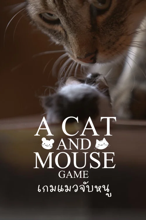 เกมแมวจับหนู