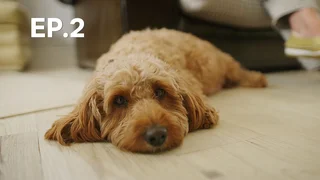 EP.02 | ขนฟูตัวจิ๋ว