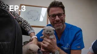 EP.03 | ขนฟูตัวจิ๋ว