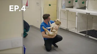 EP.04 | ขนฟูตัวจิ๋ว