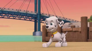EP.1018 | PAW Patrol Season 10