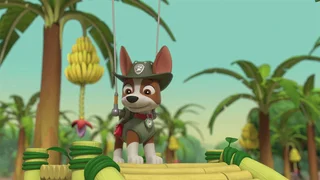 EP.1019 | PAW Patrol Season 10